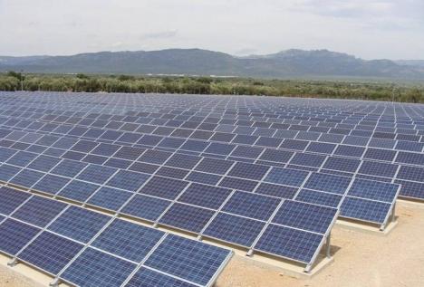 Premieră naţională: Primăria Borş îşi costruieşte propriul parc solar fotovoltaic